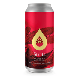 Strata Pale ale 5.1% (440ml)