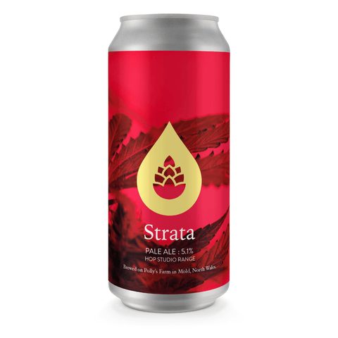 Strata Pale ale 5.1% (440ml)